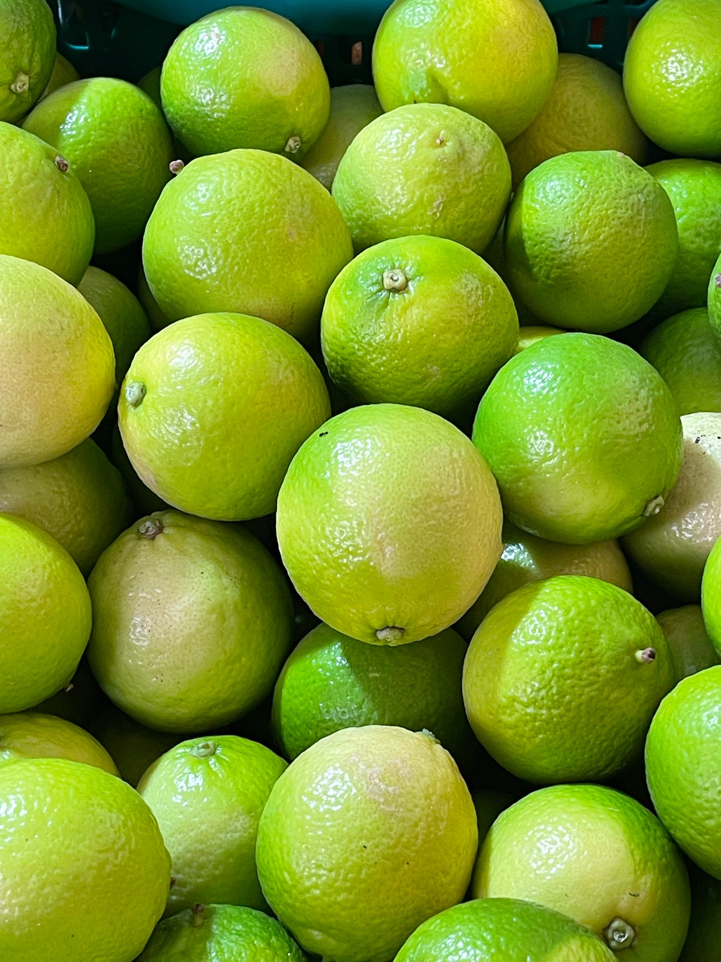 Limes