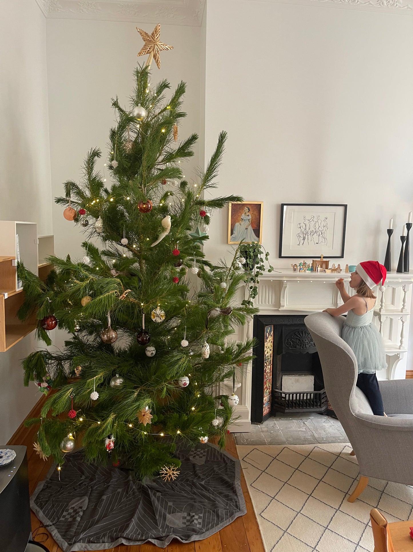 Christmas Tree 2.0-2.3m tall